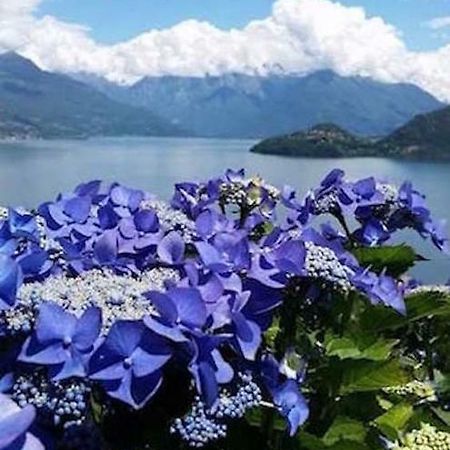 Agriturismo Piccolo Paradiso Pianello Del Lario Kültér fotó