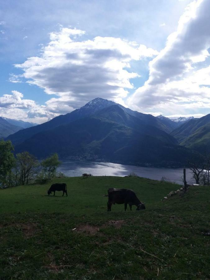 Agriturismo Piccolo Paradiso Pianello Del Lario Kültér fotó