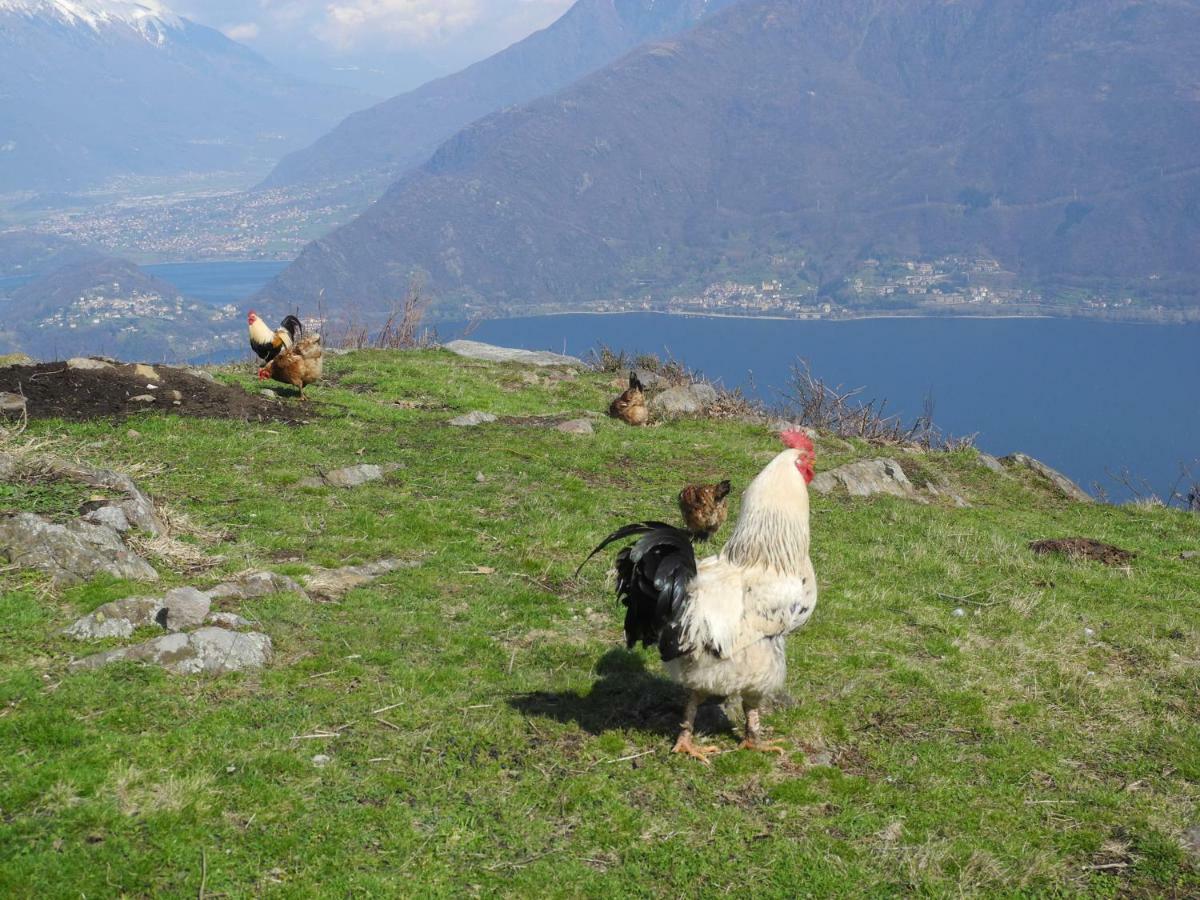 Agriturismo Piccolo Paradiso Pianello Del Lario Kültér fotó