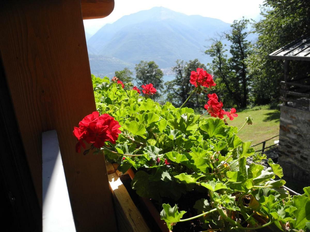 Agriturismo Piccolo Paradiso Pianello Del Lario Kültér fotó