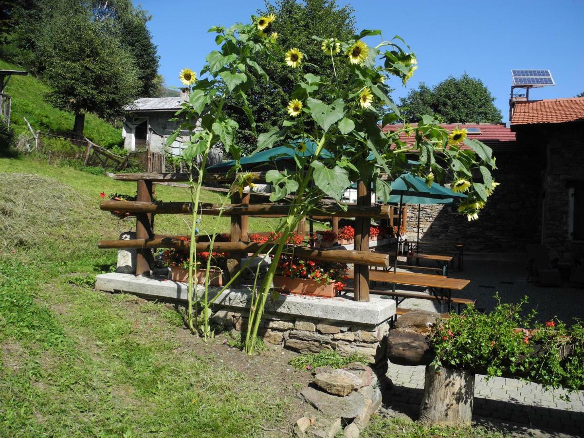Agriturismo Piccolo Paradiso Pianello Del Lario Kültér fotó